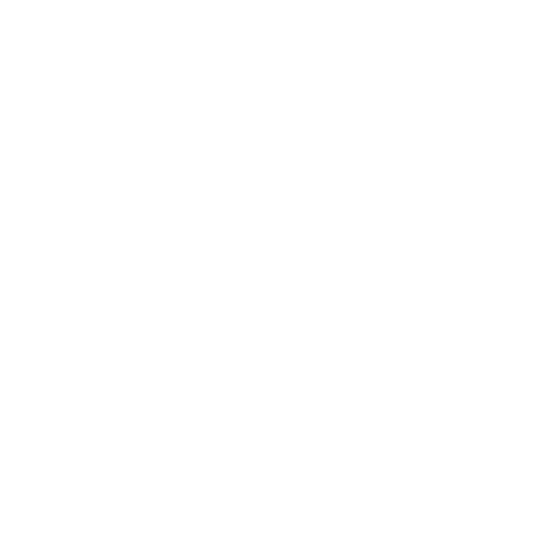 MT Logo